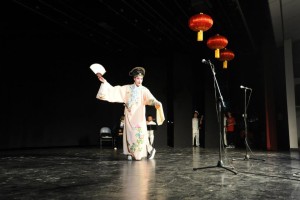 chinese-beijing-student-show